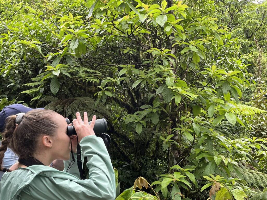 Rainforest Full Day Tour